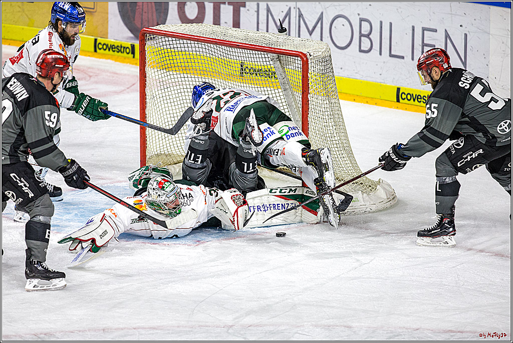 DEL Koelner Haie - Augsburg Panther, 14.09.2018